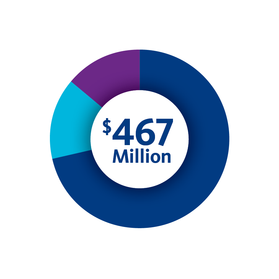 A donut graph shows the breakdown of BayCare's $467 million of community benefit in 2024.