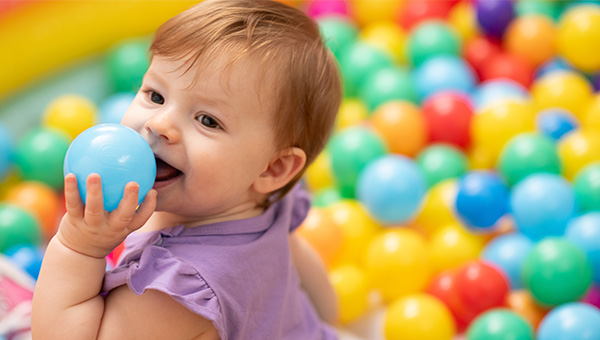 A baby in a purple top sitting in a plastic ball pit holding a blue ball near her face.