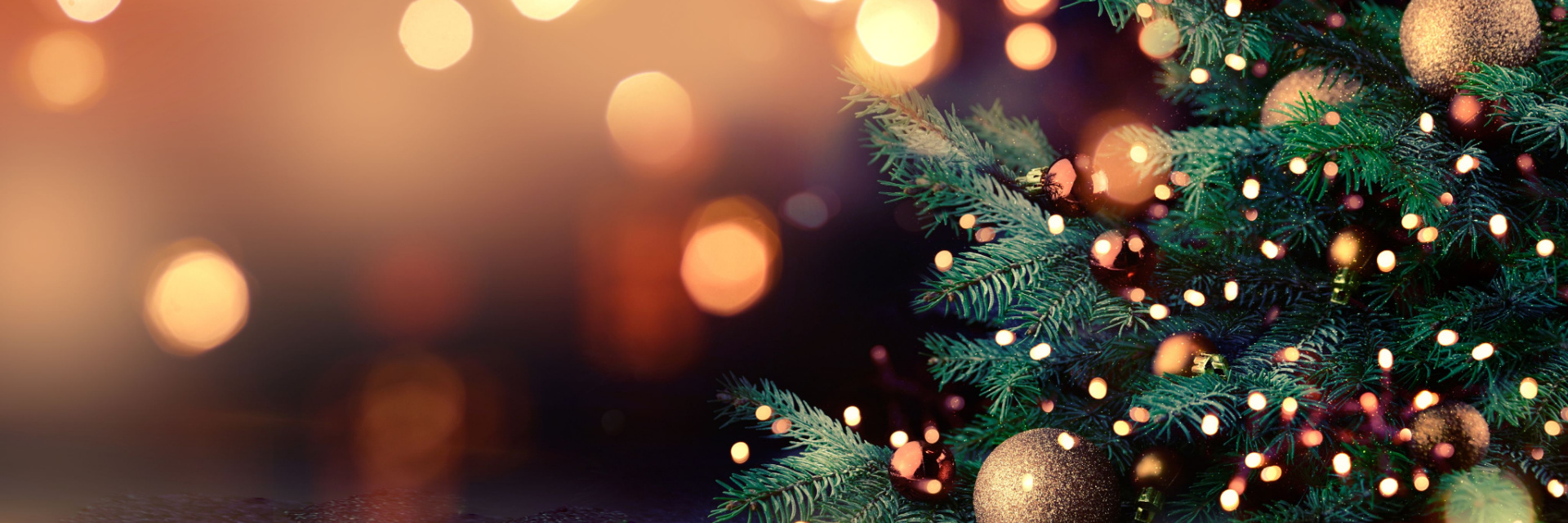 sjh holiday party sjh holiday party