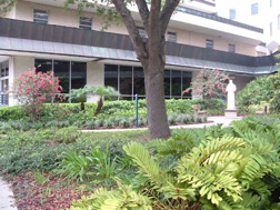 St. Joseph's Hospital Healing Gardens