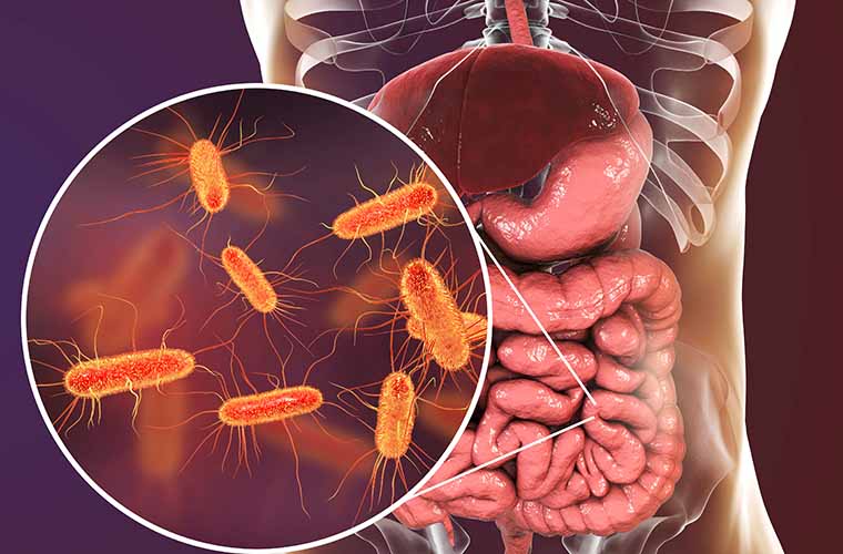 Ways to Improve Gut Health