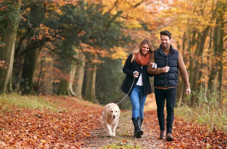 A young couple wearing fall attire is walking with their arms locked on a path in the woods with their dog on a leash. They are surrounded by a colorful leaves in fall colors.