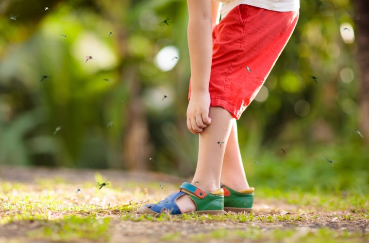 A child in red shorts stands on a grassy field, scratching his knee while being surrounded by mosquitoes and flies.