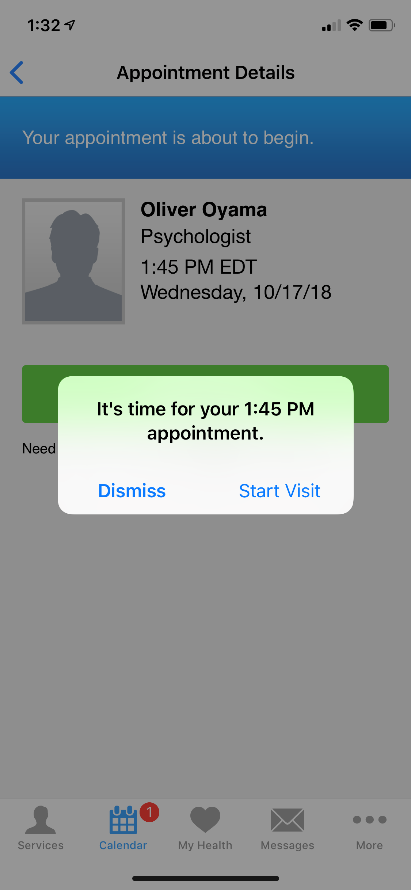 BayCareAnywhere screen for starting your visit