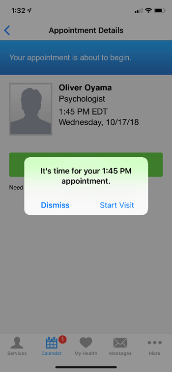 BayCareAnywhere screen for starting your visit