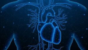 A graphic of a torso with the heart and vascular system highlighted.