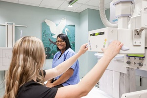Tech and patient preparing for an x-ray