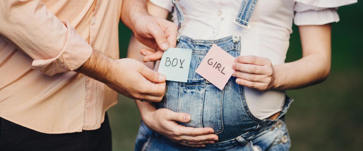 second trimester hero